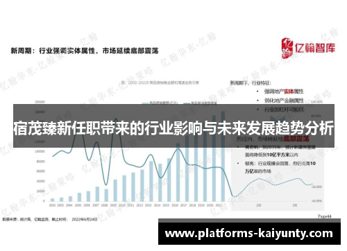 宿茂臻新任职带来的行业影响与未来发展趋势分析