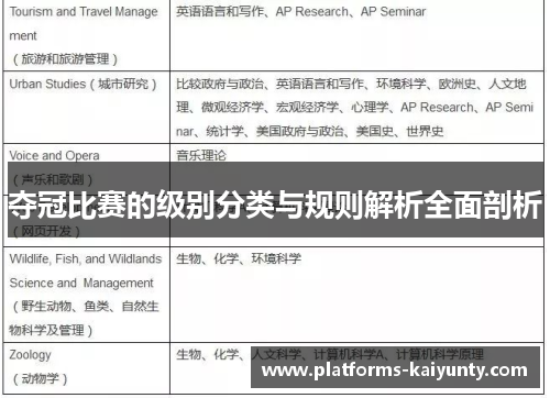 夺冠比赛的级别分类与规则解析全面剖析 夺冠比赛的级别分类与规则解析全面剖析