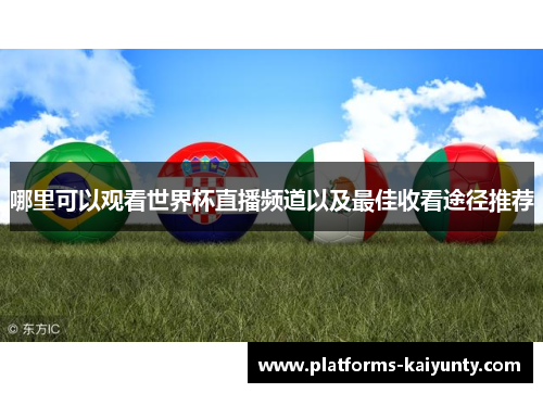 哪里可以观看世界杯直播频道以及最佳收看途径推荐