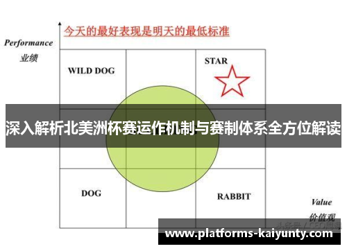 深入解析北美洲杯赛运作机制与赛制体系全方位解读