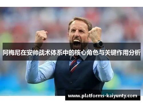 阿梅尼在安帅战术体系中的核心角色与关键作用分析