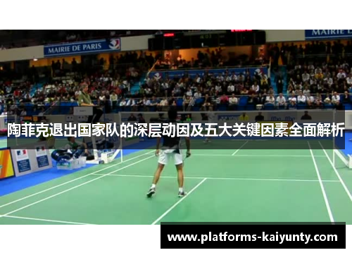 陶菲克退出国家队的深层动因及五大关键因素全面解析 陶菲克退出国家队的深层动因及五大关键因素全面解析