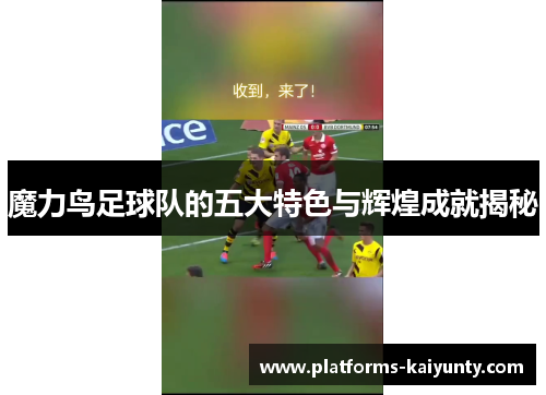 魔力鸟足球队的五大特色与辉煌成就揭秘