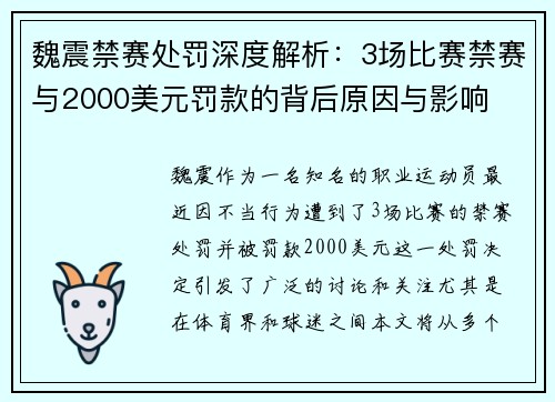 魏震禁赛处罚深度解析：3场比赛禁赛与2000美元罚款的背后原因与影响